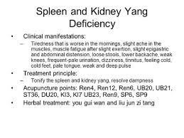 Spleen And Kidney Yang Deficiency Tcm