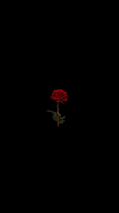 Dark backgrounds is free for your all. Saved Informations About Sohranenki Pin You Can Easily Use My Profile To Examine Different Pin Hipster Wallpaper Glitch Wallpaper Dark Wallpaper Iphone