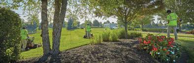 See reviews, photos, directions, phone numbers and more for beary landscaping locations in lockport, il. Https Www Landscapemanagement Net Wp Content Uploads 2020 06 Lm0620 Lm150 Singlepage 1 Pdf