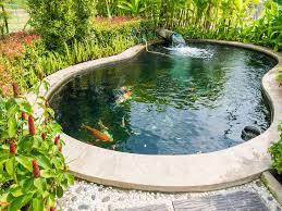 Concrete Pond - Ponds Guide