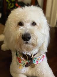 You guys welcome Grandbaby number 7! It has been a wonderful week!!!! Mom,  Dad and Baby are doing great. Nani and Popi are pooped!!!!😉