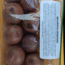 Image result for Macadamia aff. integrifolia
