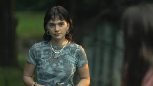 Image result for Emilia transvaalensis