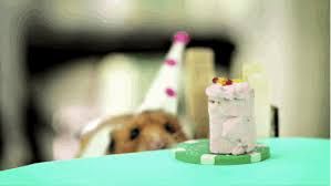 · geburtstagslied lustig lustige geburtstagsgrüße glückwünsche auf deutsch alles gute zum geburtstag geburtstagskarte mit geburtstagswünsche lustig gif. Die Besten Whatsapp Gifs Zum Geburtstag Handy De