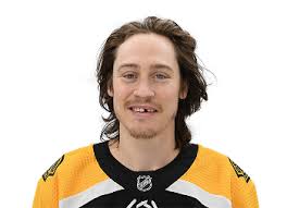 نتیجه جستجوی لغت [tyler] در گوگل