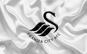 Use it in a creative project, or as a sticker you can share on tumblr, whatsapp, facebook messenger, wechat, twitter or in other messaging apps. Dream League Soccer Swansea City Kits And Logo Url Free Download