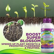 Maybe you would like to learn more about one of these? Plantic Organic Bloomdrop Plant Food Liquid Fertilizer