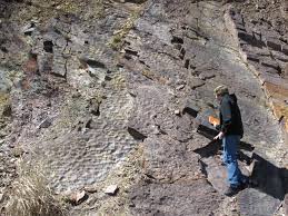 A ripple mark, such as the one shown in figure 19, is a typical surface defect (139). Ripple Marks And Trace Fossils In The Rose Hill Formation Mountain Beltway Agu Blogosphere