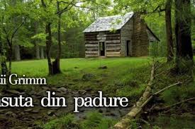 Udam brazii de la casuta din padure. Casuta Din Padure Fratii Grimm Teatru Audio