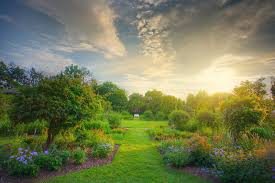 This bible study on the garden of eden will tell you what really happened in the garden eden on that day. The Land That Was Desolate Is Become Like The Garden Of Eden Deshen Daily Devotional
