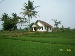 35 ide background foto untuk anggota osis cosy gallery. Rumah Desa Indonesia Rumah Pedesaan Pedesaan Rumah