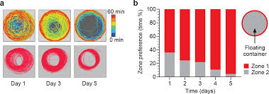 A place where your beyond on a roll and your performance is at max skill and your potential becomes more than what it is and anything around you becomes the zone is reached little effort or after one has been on a roll for a bit or quickly reached when your skill reaches the next level. Stress And Behavioral Correlates In The Head Fixed Method Biorxiv