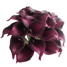 Check spelling or type a new query. Brown Calcifer 20 Pcs Real Touch Calla Lily Bridal Latex Wedding Bouquet Flower Bouquets Home Decor Artificial Dried Flora Onnumaracafe Com