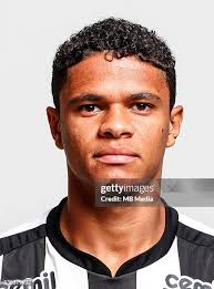 484.648 Douglas Or Page=4 Stock Photos, High-Res Pictures, and Images