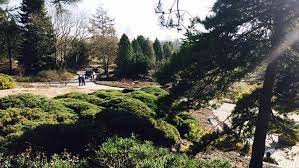 „wir bedauern außerordentlich, dass wir den botanischen garten, der zu den beliebtesten freizeitorten der stadt gehört, schließen müssen, sagt direktor prof. Loki Schmidt Garten Fachbereich Biologie Universitat Hamburg