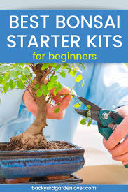 Visit your local store for the widest range of garden products. The Best Bonsai Starter Kits For Beginners