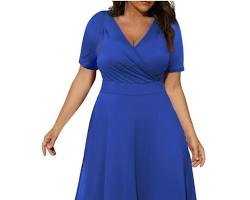Image of Women Fit and Flare Blue Dress Casual Chic