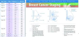 Breast Cancer Staging On The Basis Of Tnm Classification