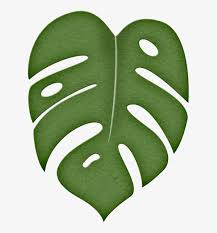 Palm leaf vectors photos and psd files free download. Leaf Png Pinterest Moana Stenciling And Template Jungle Leaf Clipart Free Transparent Png Download Pngkey