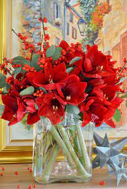 Amaryllis Red Flower Arrangements Christmas Floral Arrangements Christmas Flower Arrangements