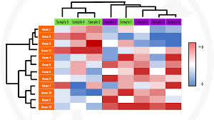 Image result for bioinformatics heatmap