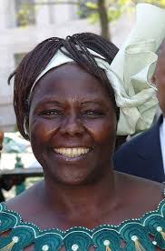 VOICES September 2020 by Volunteers Centre Skopje: VOICES magazine