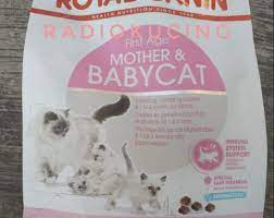 Makanan kucing persia yg bagus dan murah. 6 Makanan Kucing Persia Yang Bagus Untuk Bulu Dan Bernutrisi Lazuva Com Tempat Wisata Indonesia Pariwisata Indonesia