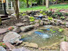 Although a simple pond in a yard can be an attractive feature, adding rocks to the water's perimeter increases the appeal of the landscaping. Acorn Ponds Waterfalls Blogs Pond Designs Landscape Ideas In Rochester Ny