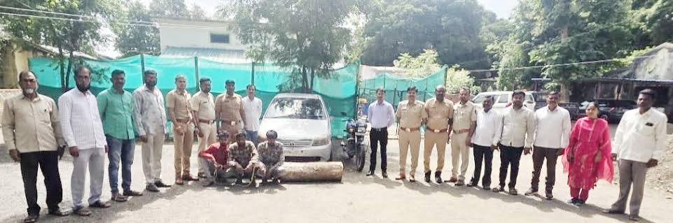 किनवटमध्ये वनविभागाच्या गाडीला धडक देणारे सागवान तस्कर जेरबंद; २१ ऑगस्टपर्यंत न्यायालयीन कोठडी
