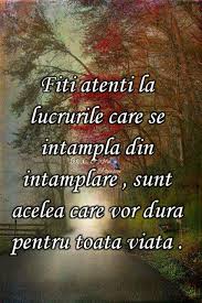 Te Pup Words Lovely Quote Quotes