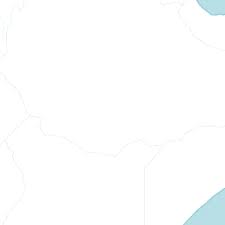 Image result for Austrosynotis