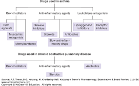 Drugs Used In Asthma Chronic Obstructive Pulmonary Disease