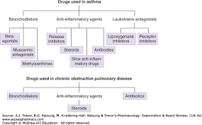 drugs used in asthma chronic obstructive pulmonary disease