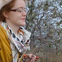 By a Woman's Hand: Illustrators of the Golden Age by Mary Carolyn Waldrep