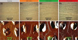 All the spm physics tutorials here are given free spm physics form 4 topical questions & video tutorials. Effects Of Thermal Modification On The Physical Chemical And Micromechanical Properties Of Masson Pine Wood Pinus Massoniana Lamb