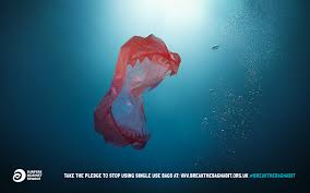 The no plastic bag campaign hasplayed a part in getting people topurchase reusable bags, they are alsomore environmentally conscious due to. International Plastic Bag Free Day Surfers Against Sewage