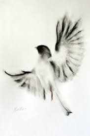 Proud Bird 2014 By Kellas Campbell Charcoal Art Bird Drawings Art