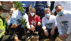 En cuanto al día mundial del árbol, su origen no está claro y no hemos encontrado fuentes que nos indiquen su origen, pero es posible observar actividades conmemorativas cada 28 de junio con el objetivo de informar sobre la. Siembra De Arboles En El Dia Del Arbol Bavaria Sembro Mas De 40 000 Arboles Nativos En El Dia Del Arbol Comercial Caracol Radio