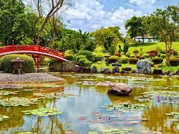 How To Spend 24 Hours In Toulouse In 2021 Japanese Garden Japanese Plants Travel Around The World