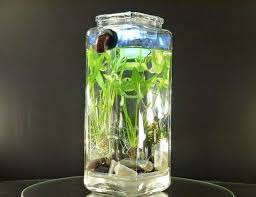 Self Washing Fish Tanks Betta Fish Tank Self Cleaning Fish Tank Cleaning Fish