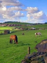 My Homeland in Oldham 🏠