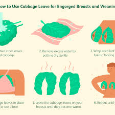 We did not find results for: Cabbage Leaves For Breast Pain Engorgement And Weaning