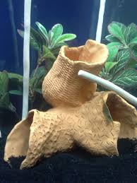 Check spelling or type a new query. Diy Aquarium Decor My Aquarium Club