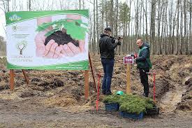 Популярні фільми, серіали, мультфільми і телепередачі в хорошій якості. Tsn Kanalu 1 1 Teper Maye Svij Lis Na Zhitomirshini