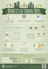 Benefits Of Urban Trees