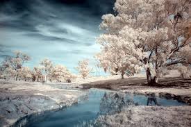 bethany.cloud's favorites