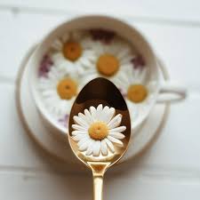 Pin Ot Polzovatelya Sabi Mouse Na Doske Still Life Stock Idei Dlya Foto