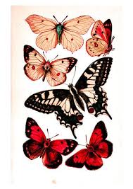 Printable Butterflies In Four Color Schemes Butterfly Printable Free Vintage Printables Collage Sheet