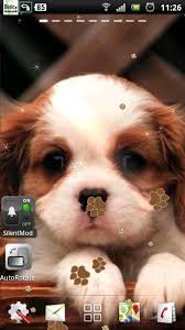 puppy dog live wallpaper android apps