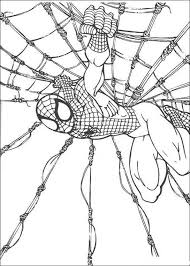 Voir plus d'idées sur le thème comment dessiner spiderman, comment dessiner, dessin spiderman. Coloriage Spider Man Sur Sa Toile Momes Net
